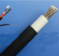 WDZ-DCK，WDZ-DCKP-125，DCEVM機車電纜